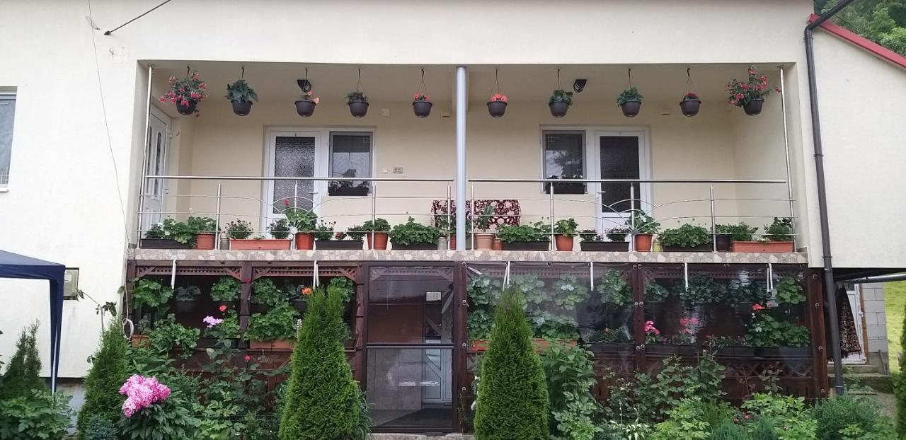 Villa Casa Cosmina Arieşeni Esterno foto