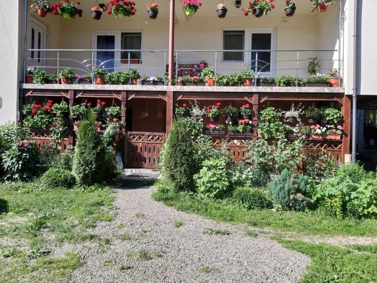 Villa Casa Cosmina Arieşeni Esterno foto